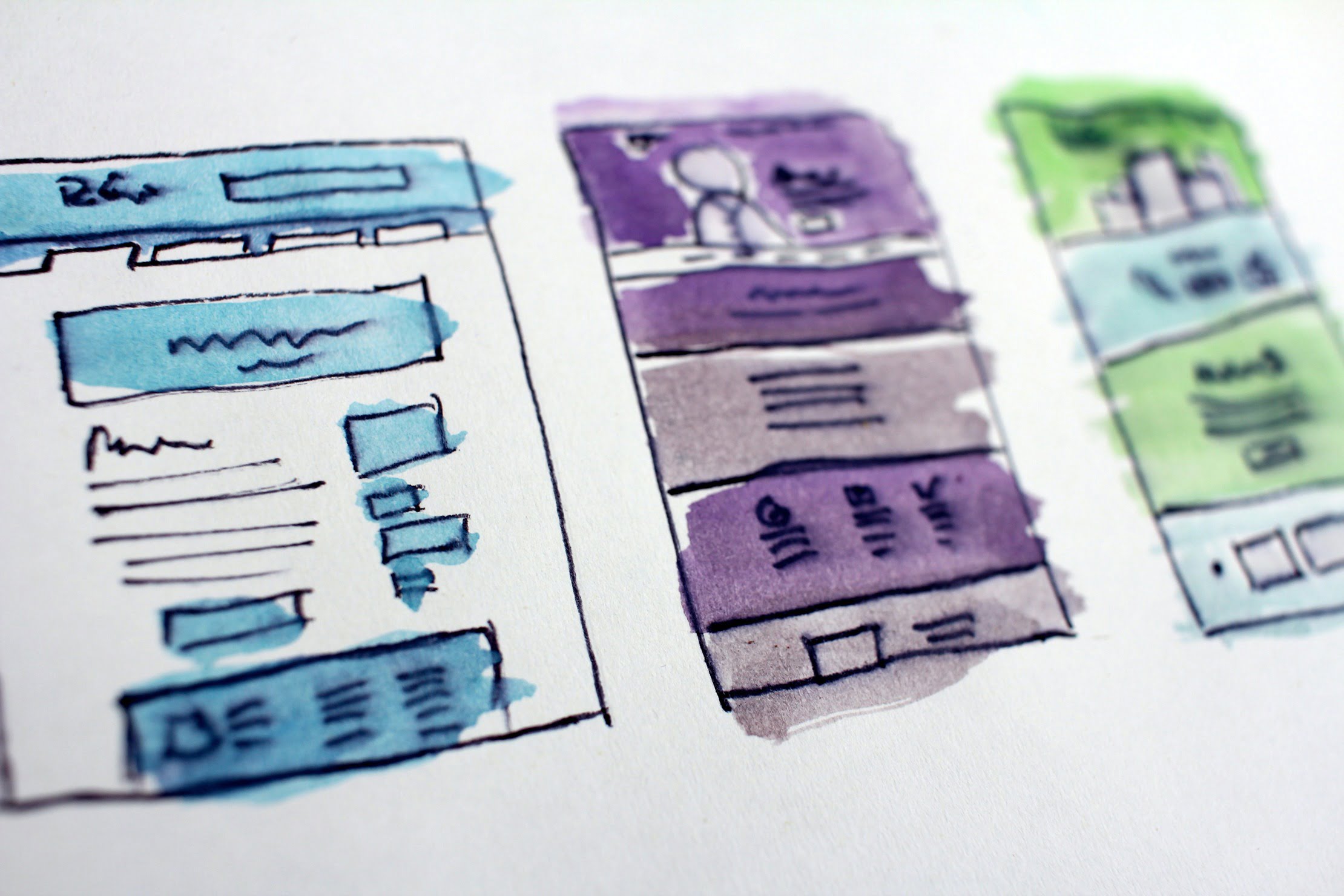 Web Development Company in Delhi